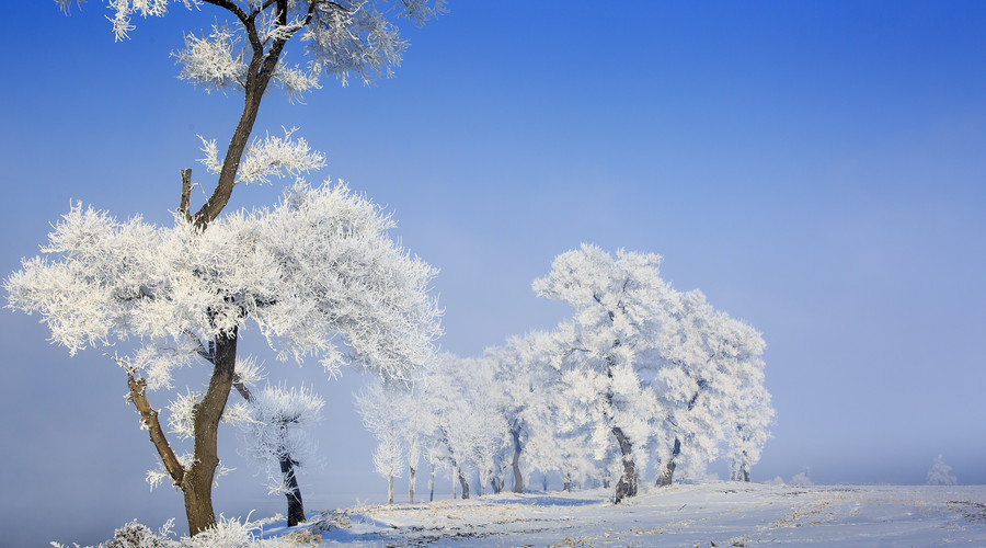 冰雪产业迎发展良机 上市公司抢滩布局