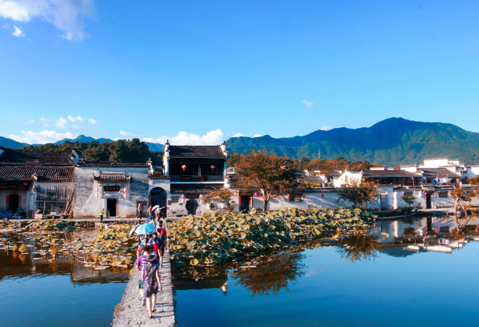 11部门：鼓励台胞台企参与乡村休闲旅游和生态旅游发展