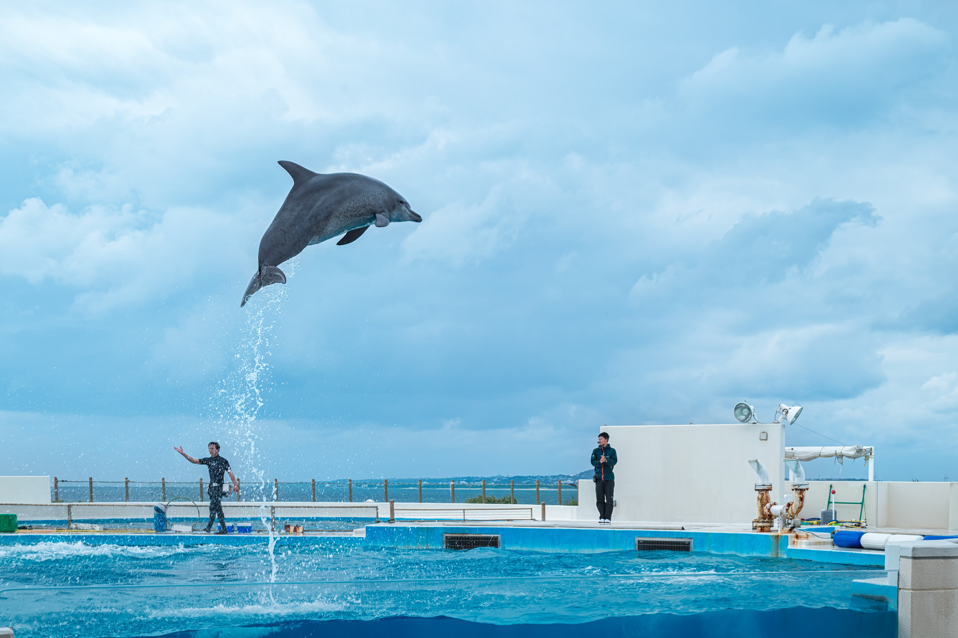 海昌海洋公园入股博涛文化 肖迪任文旅事业部首席顾问