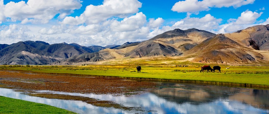 西藏旅游：拟收购新绎游船100%股权，完善旅游业务产品体系