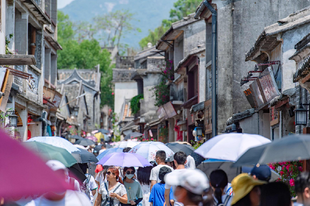 戴斌：我国乡村旅游可为世界旅游贡献更多中国智慧、中国方案