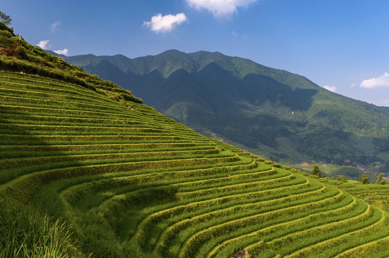 多地推出特色旅游专列 推动旅游市场复苏