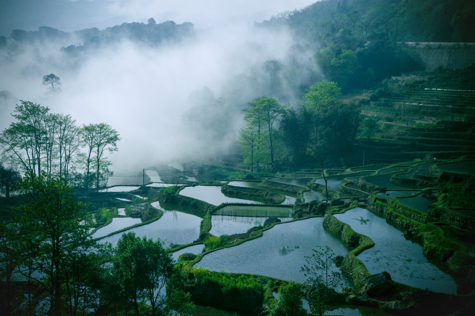 云南旅游：一季度净亏损约2073.92万元，同比扩大124.22%