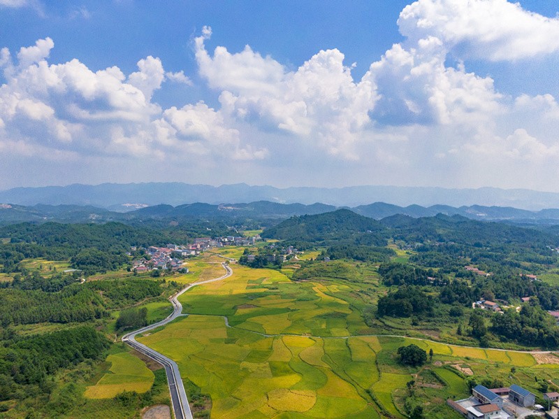 贵阳公交开通27条省内景区旅游直通车