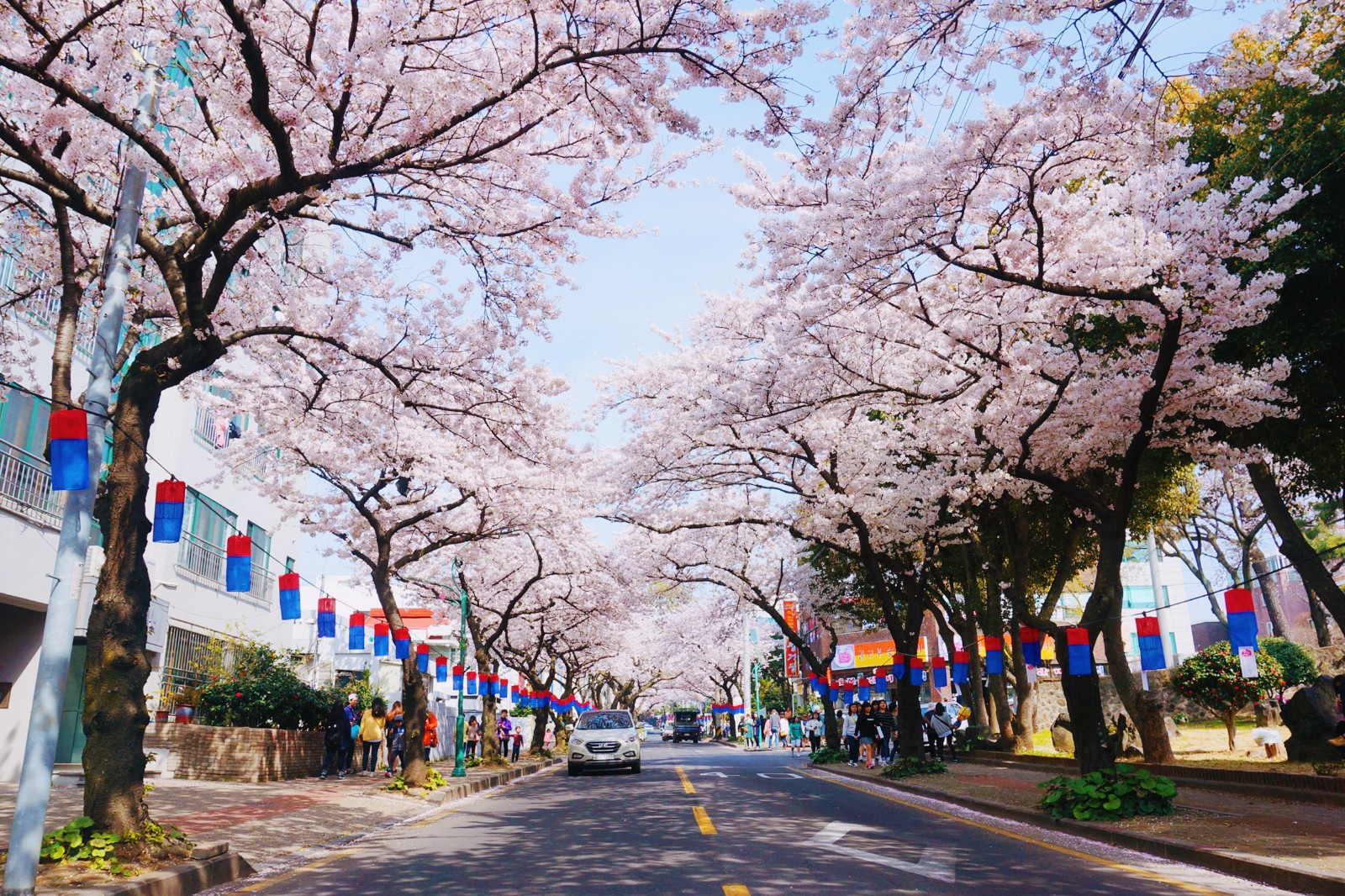 韩国境内旅游消费创8年来最大跌幅