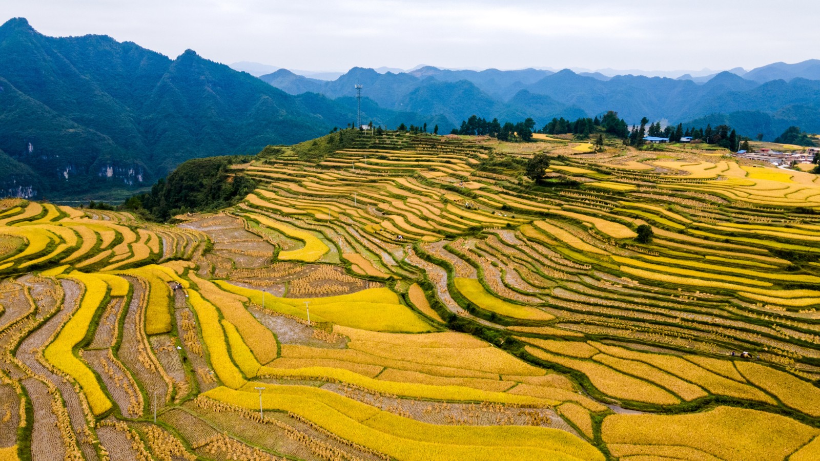 文旅部推出149条全国乡村旅游精品线路