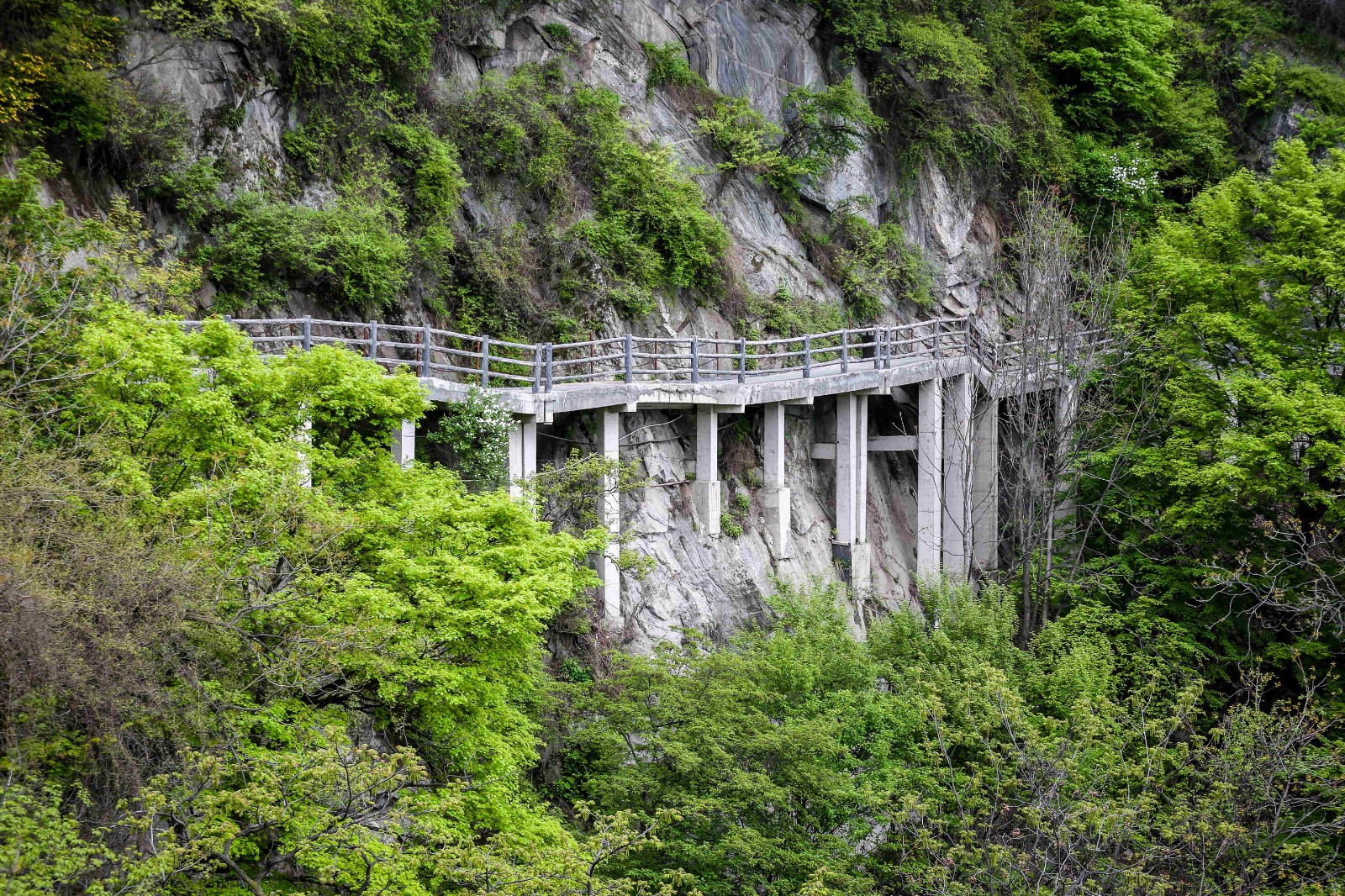 10亿元文旅配套项目落地南京牛首山