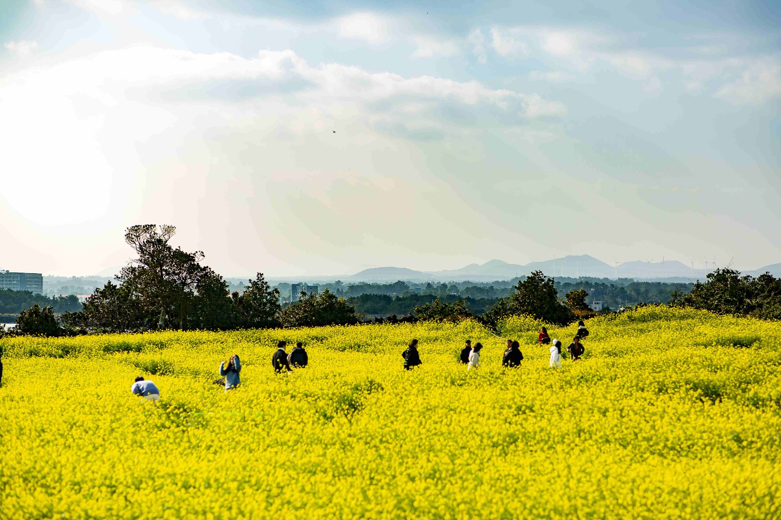 同程旅行《2024年清明小长假旅行消费趋势报告》：周边游成主流